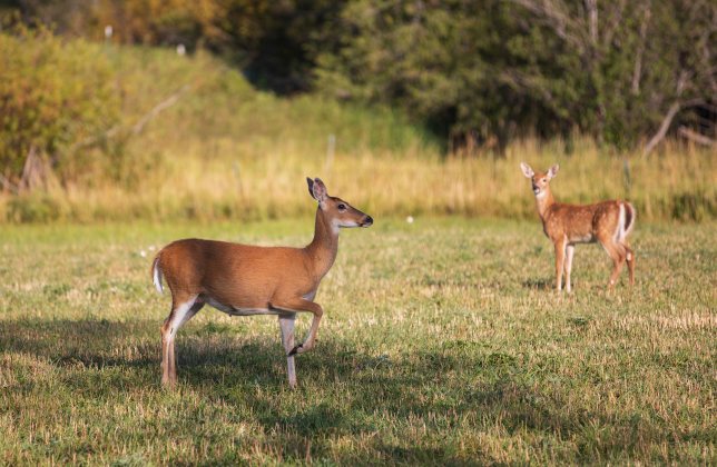 345g345g345g345ggggg