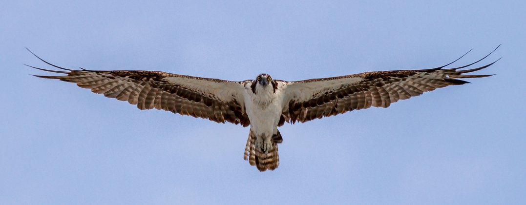 g6456g456g456g456ggggg