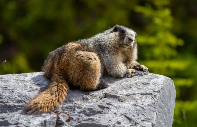 rtyhjhrtyhrtyht45h4444