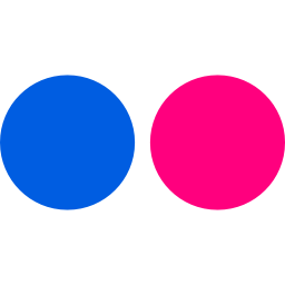 Flickr Icon